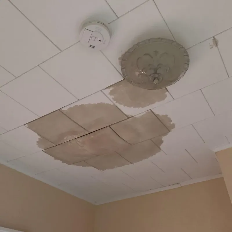 Ceiling Water Damage Repair in Plymouth, PA